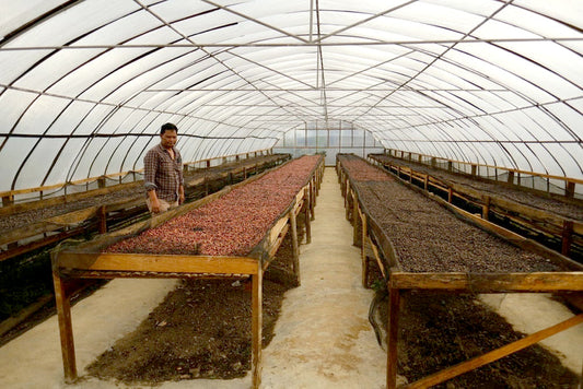 Single Origin Limited Releases - July 2024