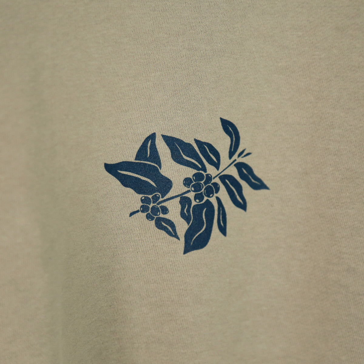 Paradox Kinetic Women's Crew Jumper - Eucalyptus