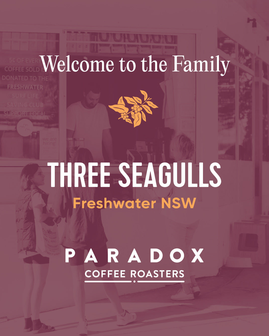 Welcome to the Paradox Family, Three Seagulls!