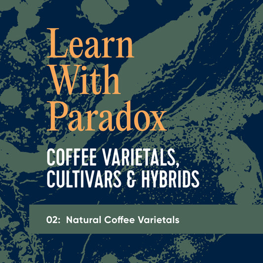 Coffee Varietals, Cultivars and Hybrids.