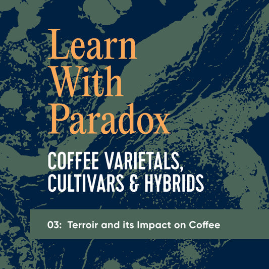 Coffee Processing - Coffee Varietals, Cultivars & Hybrids