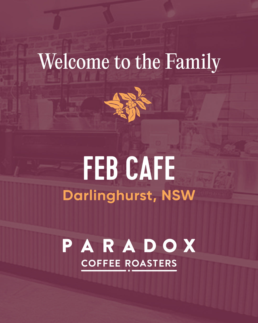 Welcome to the Paradox Family, Feb Cafe!