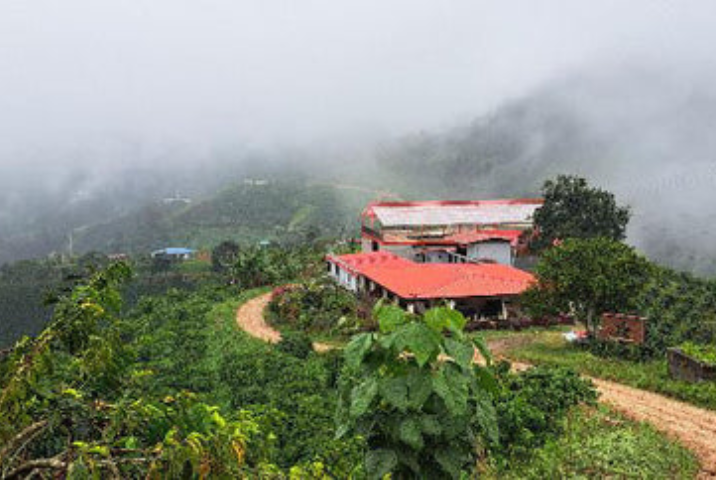 Single Origin Limited Releases - April 2026