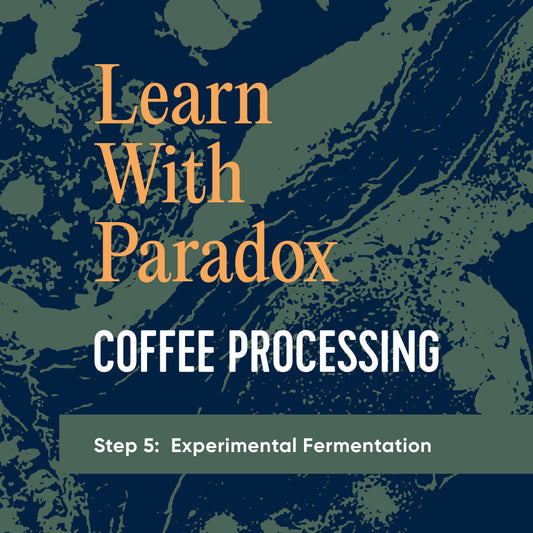 Coffee Processing - Experimental Fermentation
