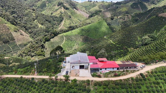 Single Origin Limited Releases - October 2025