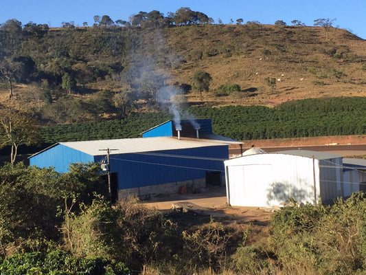 Single Origin Limited Releases - August 2026
