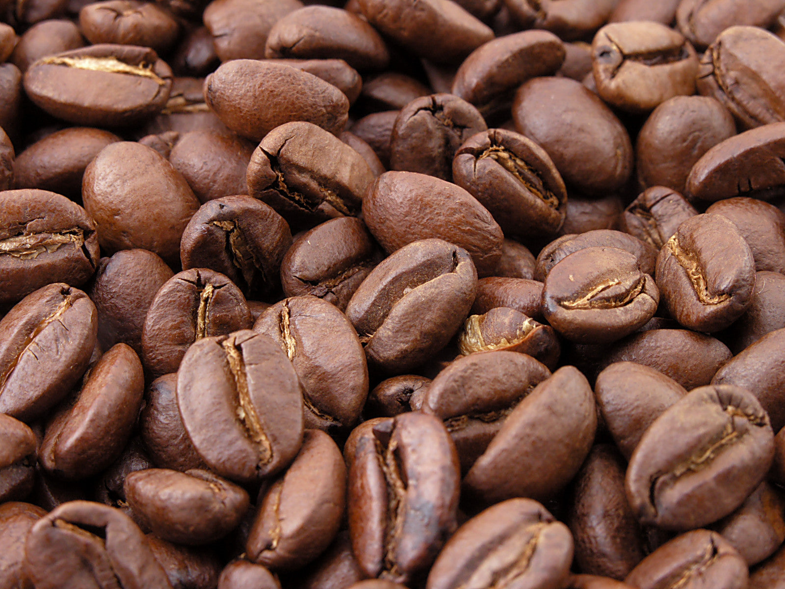 Should You Freeze Coffee Beans? Science Behind The Practice