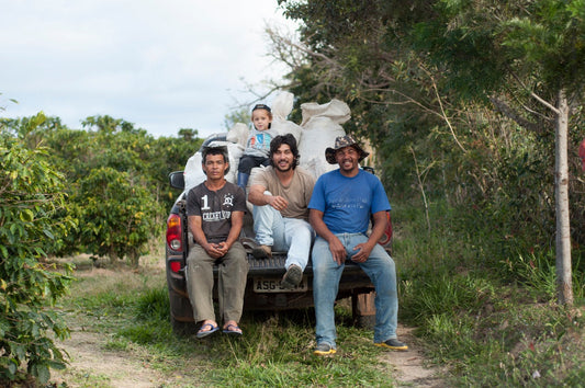 Single Origin Limited Releases - December 2024