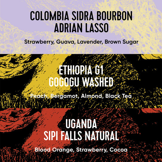 Paradox Single Origin Selection box