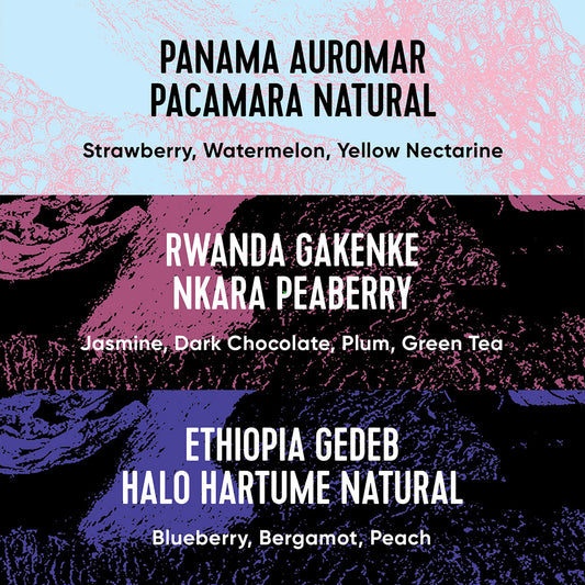 Paradox Single Origin Selection box