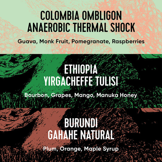 Paradox Single Origin Selection box