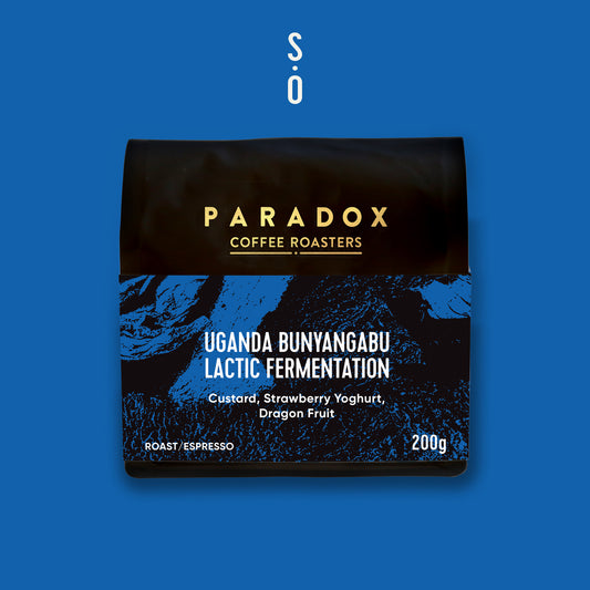 Uganda Bunyangabu Lactic Fermentation