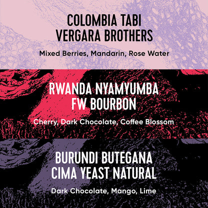 Paradox Single Origin Selection box