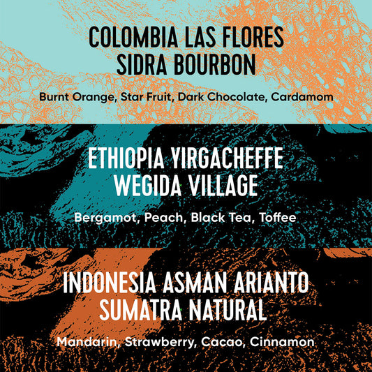 Single Origin Box 2026-11