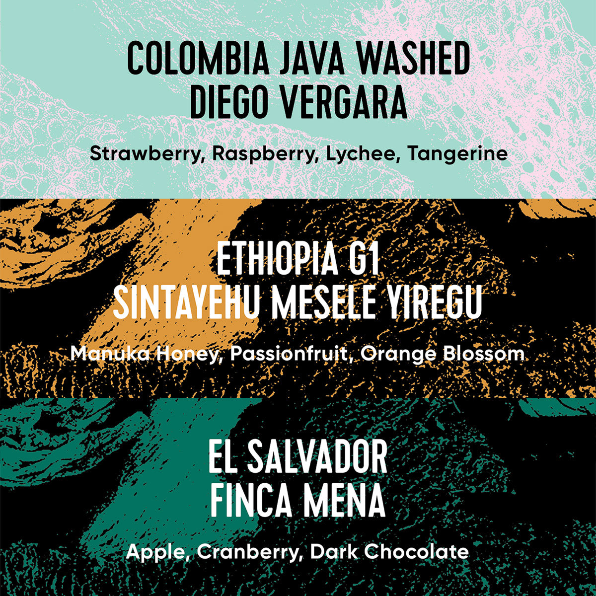 Paradox Single Origin Selection box