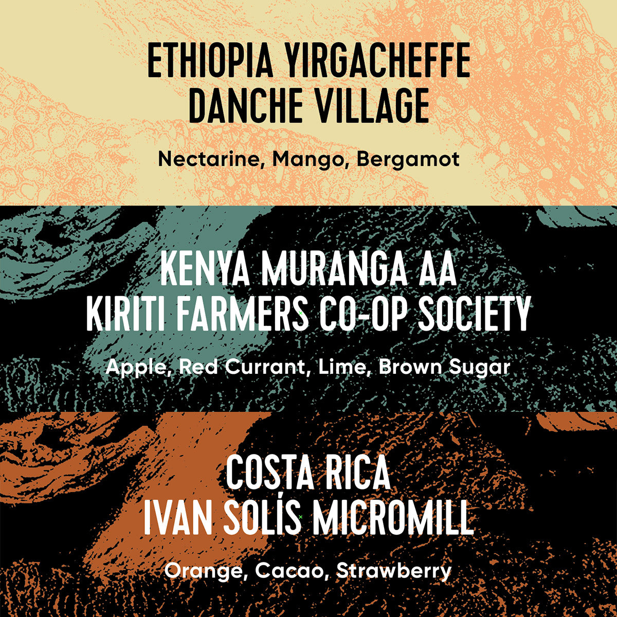 Paradox Single Origin Selection box