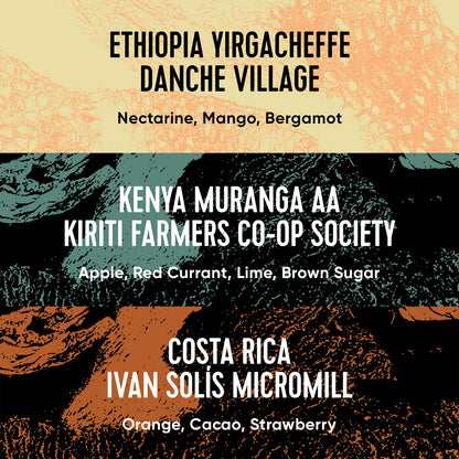 Paradox Single Origin Selection box