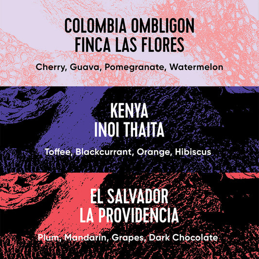 Single Origin Box — 2026-09