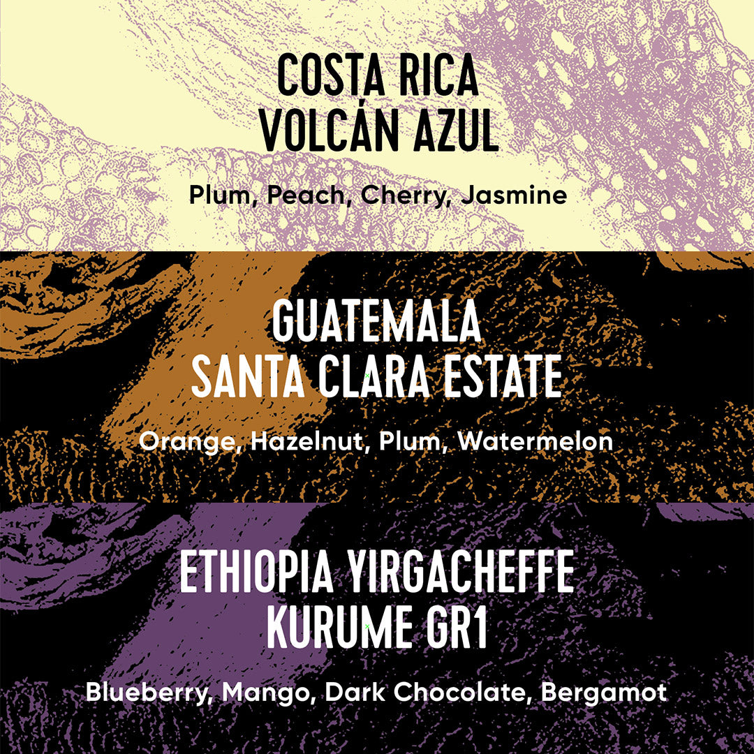 Single Origin Box 2026-10