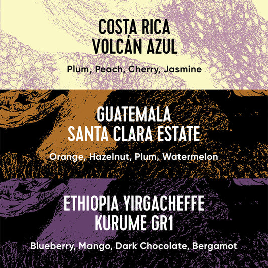 Single Origin Box 2026-10