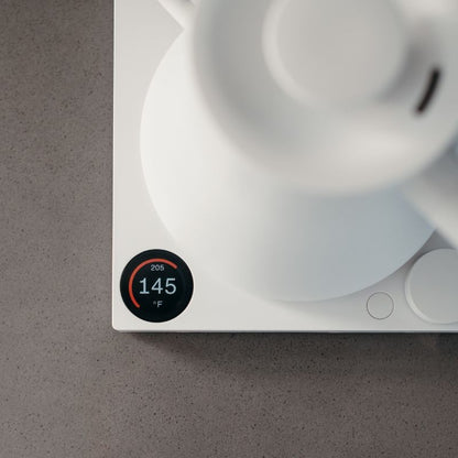 Fellow Stagg EKG PRO Electric Kettle