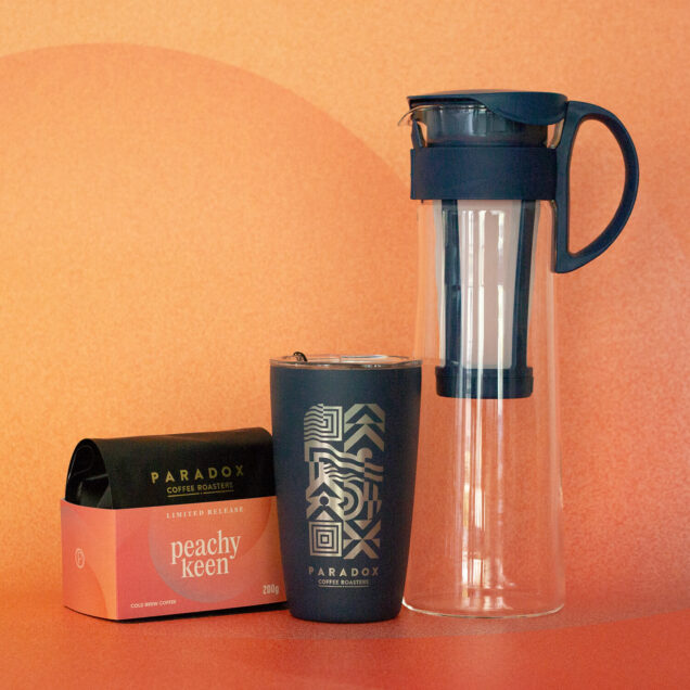 Peachy Keen Hario Cold Brew Kit 1